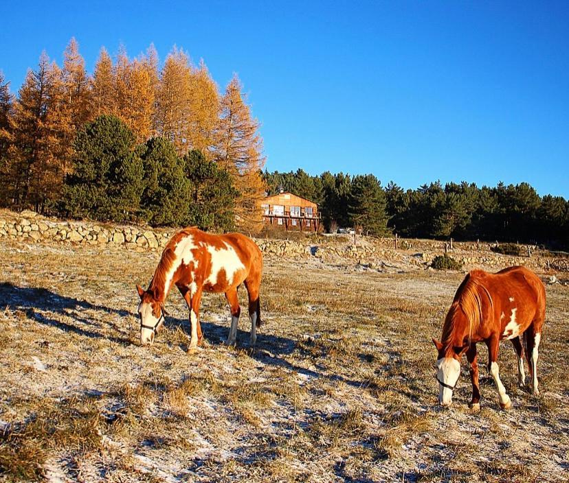 Gite Ranch Le Serpolet Les Angles  Exterior photo
